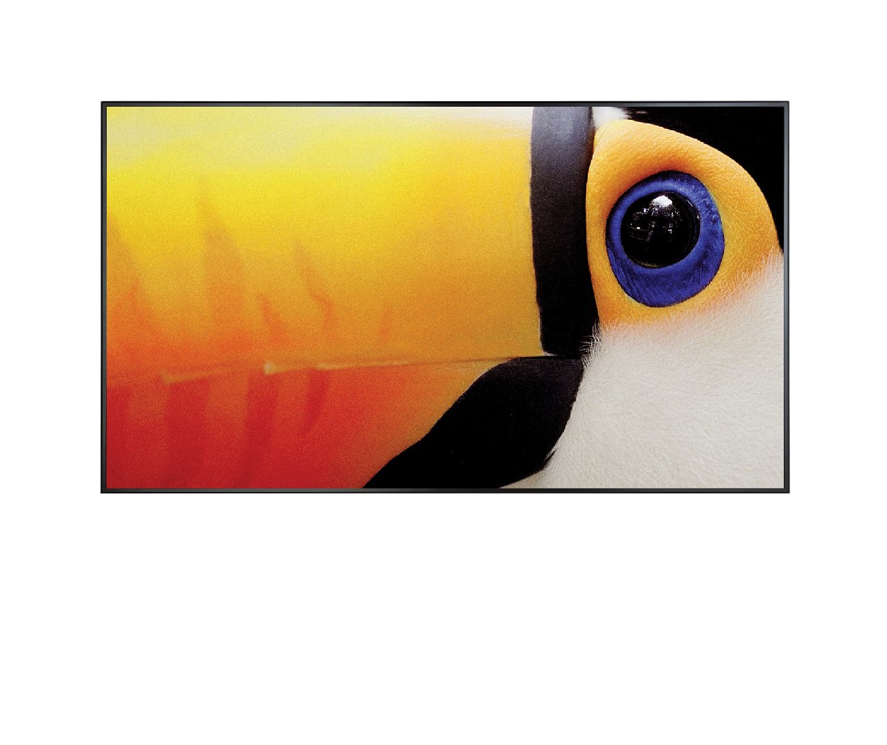Christie FHQ981-L 98” UHD LCD display | 135-006107-XX