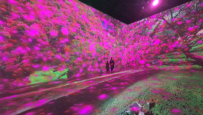 Immersive projections in one of the themed galleries at Delight Damyang experiential art exhibition.