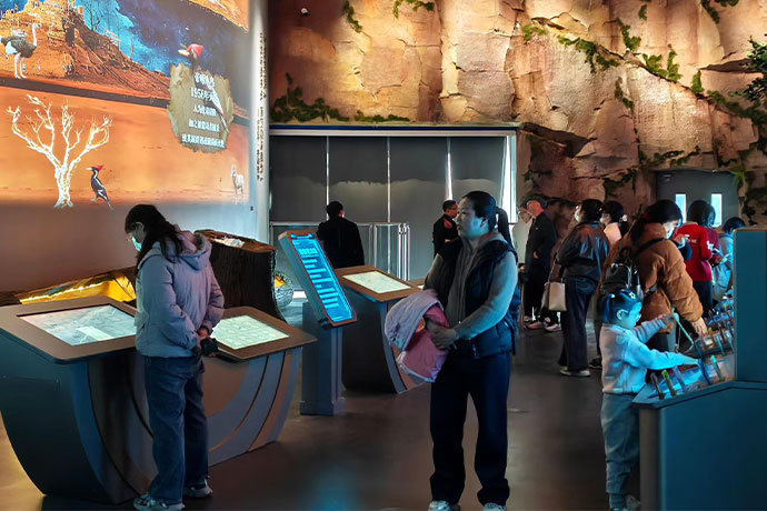 Vivid, lifelike projections throughout the exhibition space engage visitors on both an emotional and intellectual level.