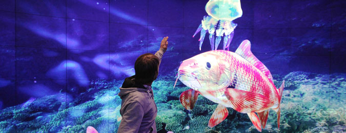 Questions about your video wall project? Questions about your video wall project?
