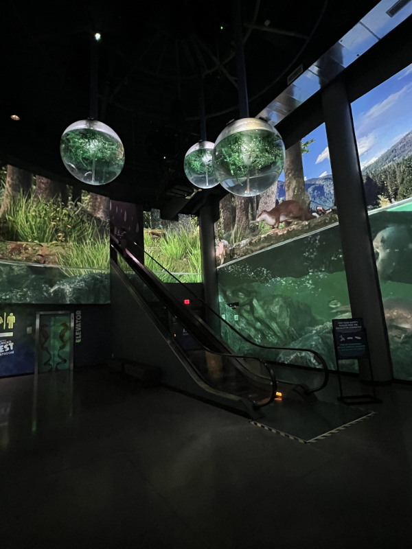 Walls of a lobby area are projection mapped with aquatic-themed content. 