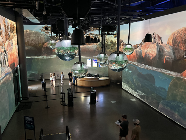 A large lobby area is projection mapped with images of penguins on rocks. 